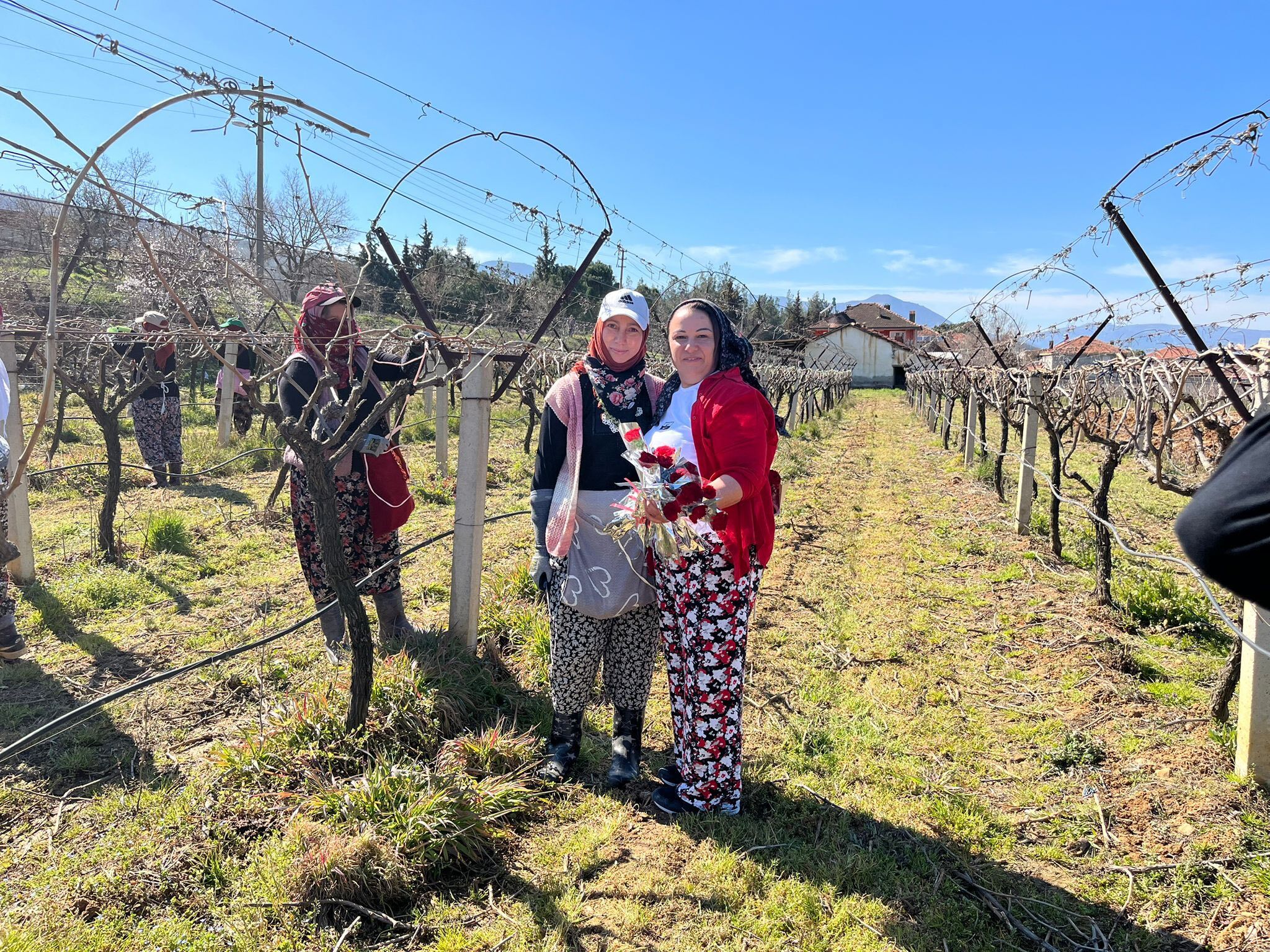 647148074 122161268888842987 4212634530942486878 N