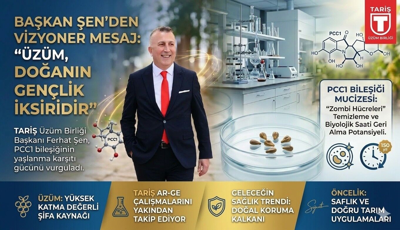 650071842 122311387694199706 920082633059036252 N