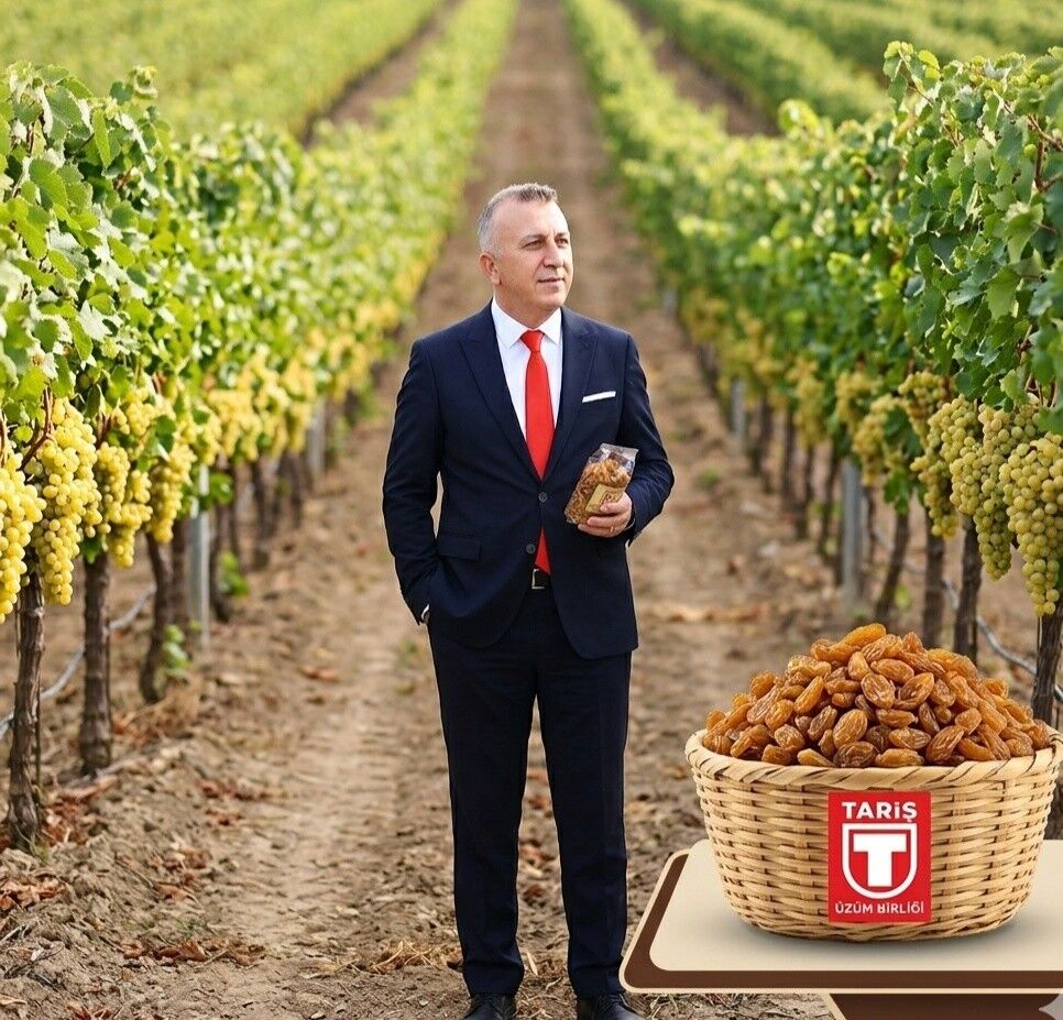 650340452 122311513700199706 1208290343009082283 N