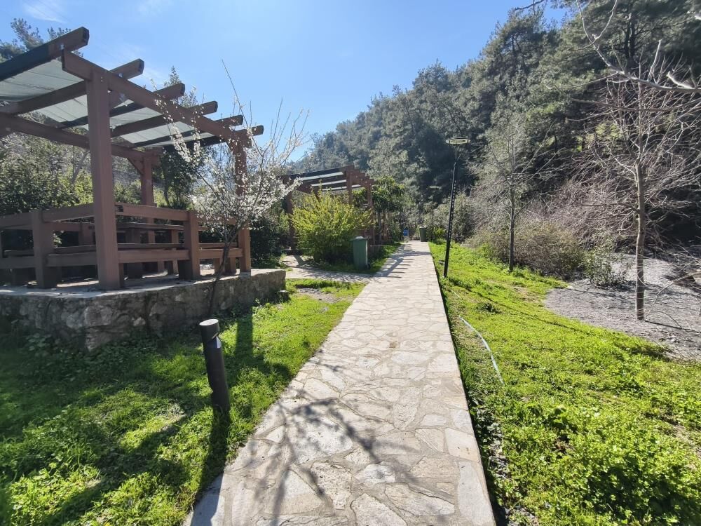 Mesir Tabiat Parkı doğaseverlerin uğrak noktası oldu