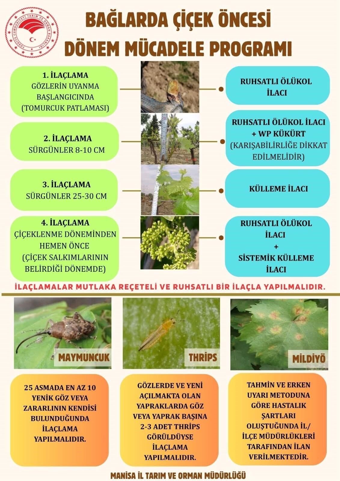 Sarıgöl bağlarında çiçek öncesi ilaçlama nasıl olmalı? İşte detaylar...-1.1