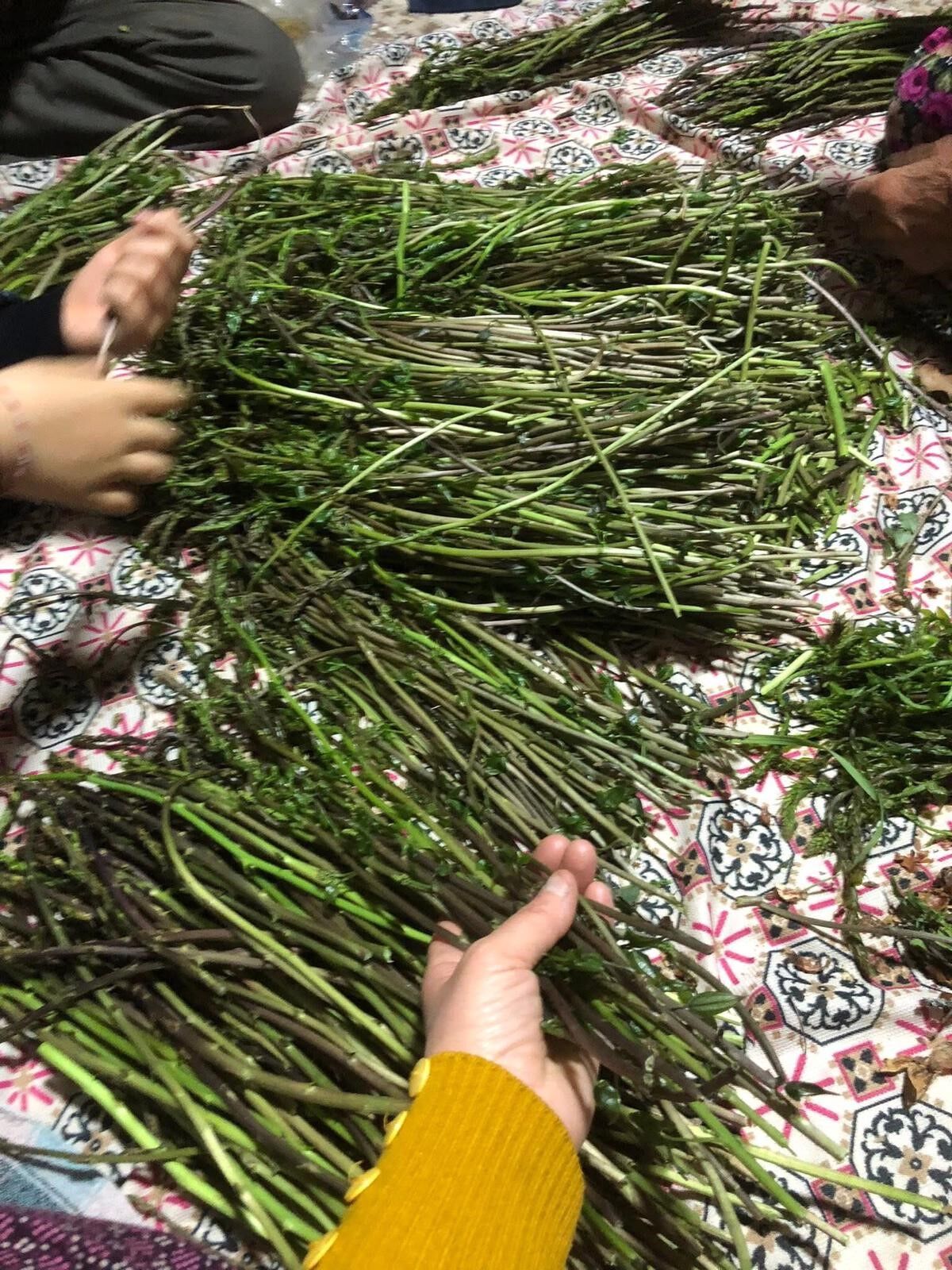 Sarıgöl’ün bereketli topraklarında yetişiyor! Pazarda 150 TL'ye satılıyor-.1.1