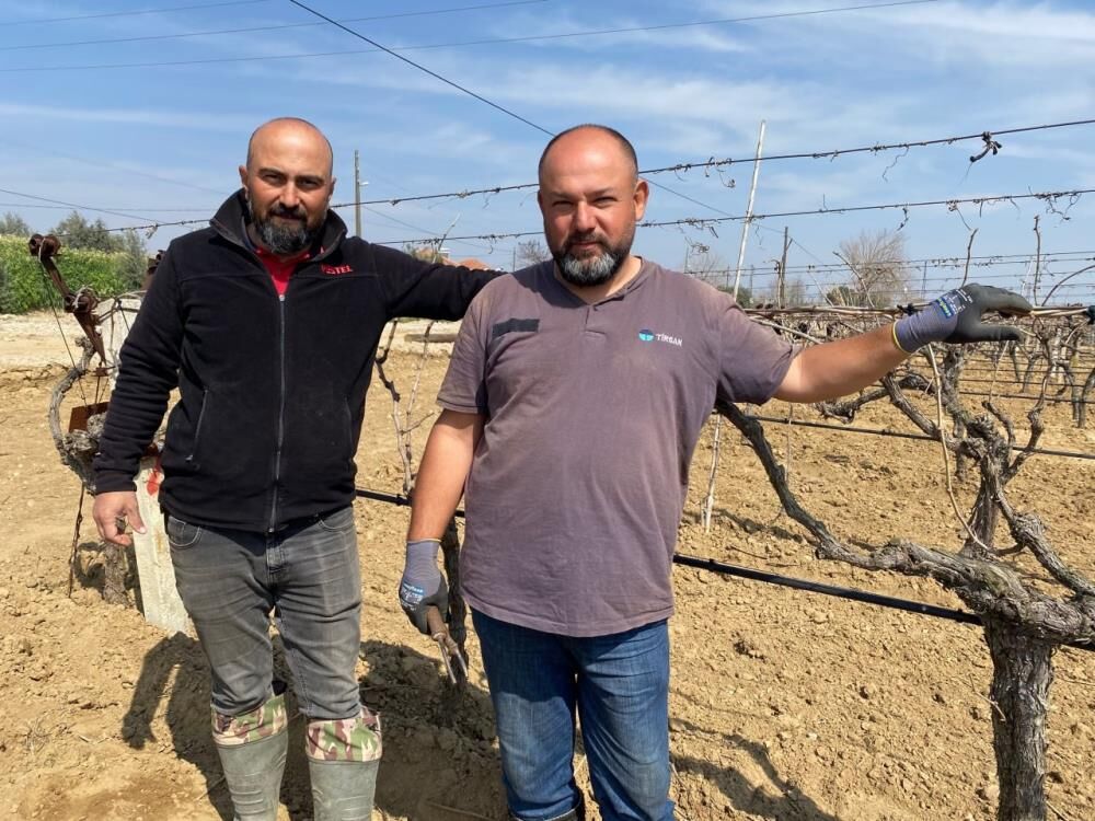 Alaşehir'de sular çekildi: Bağlarda çalışmalar hızlandı