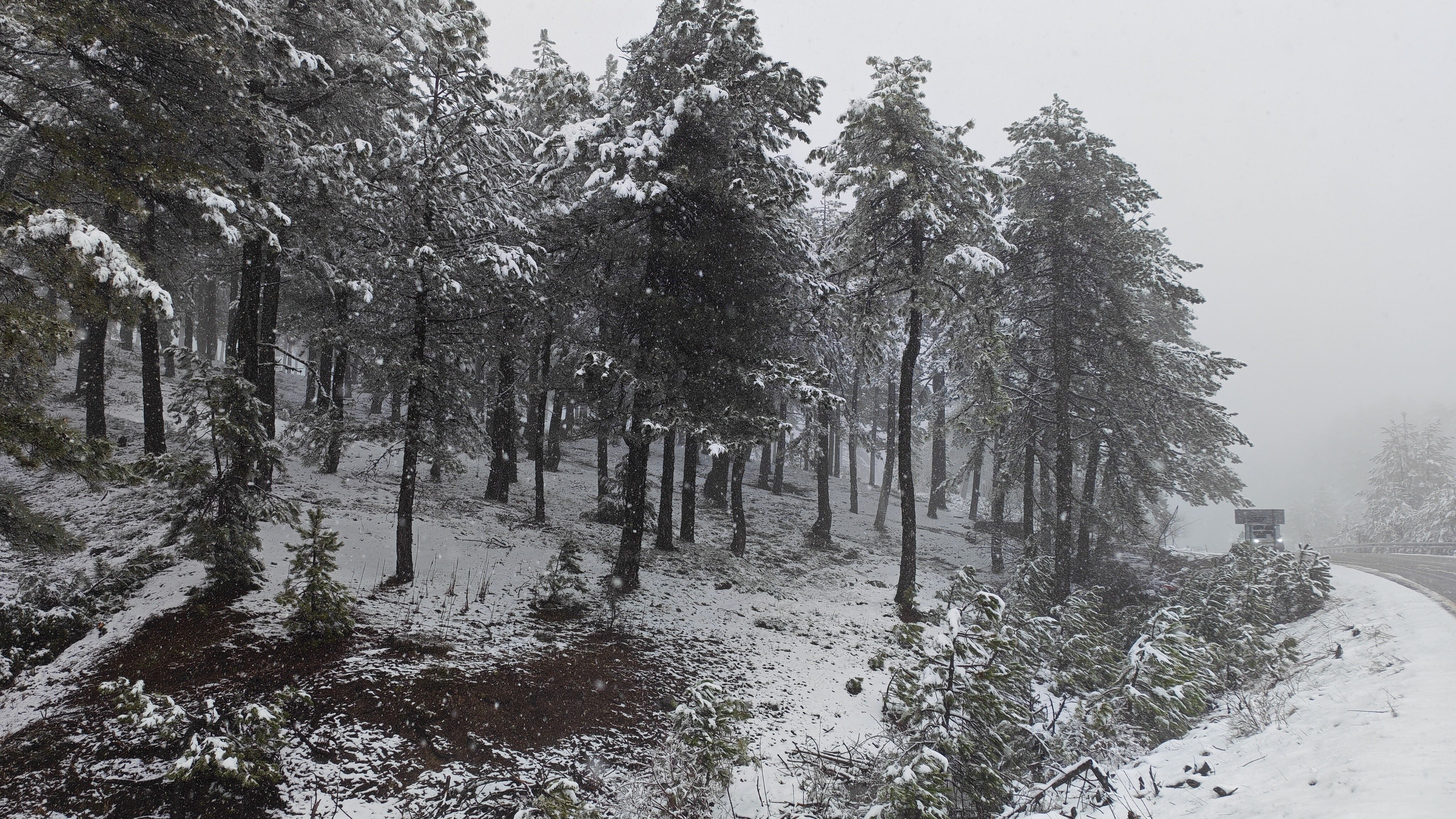 Akçakertik Mevkii Beyaza Büründü! (3)