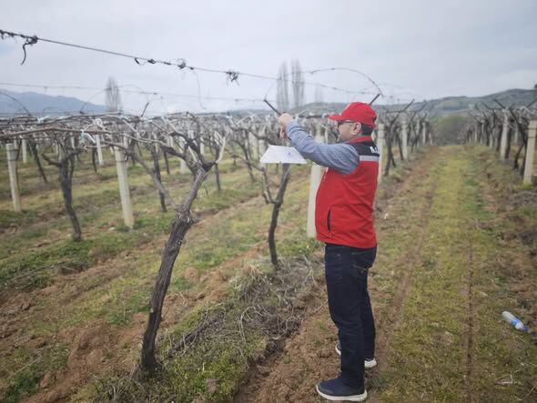 Alaşehir'de 14 Mahallede Eş Zamanlı Çalışma! (4)