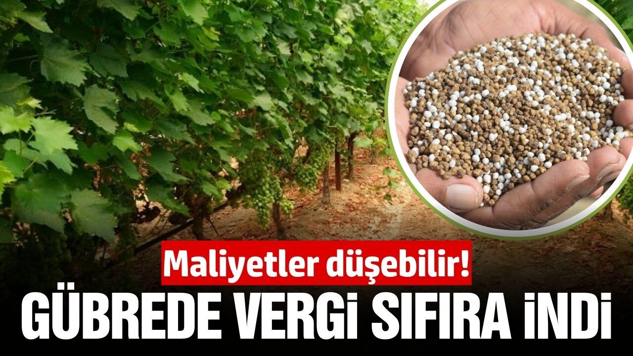 Bu sefer güzel haber! Gübrede vergi sıfırlandı