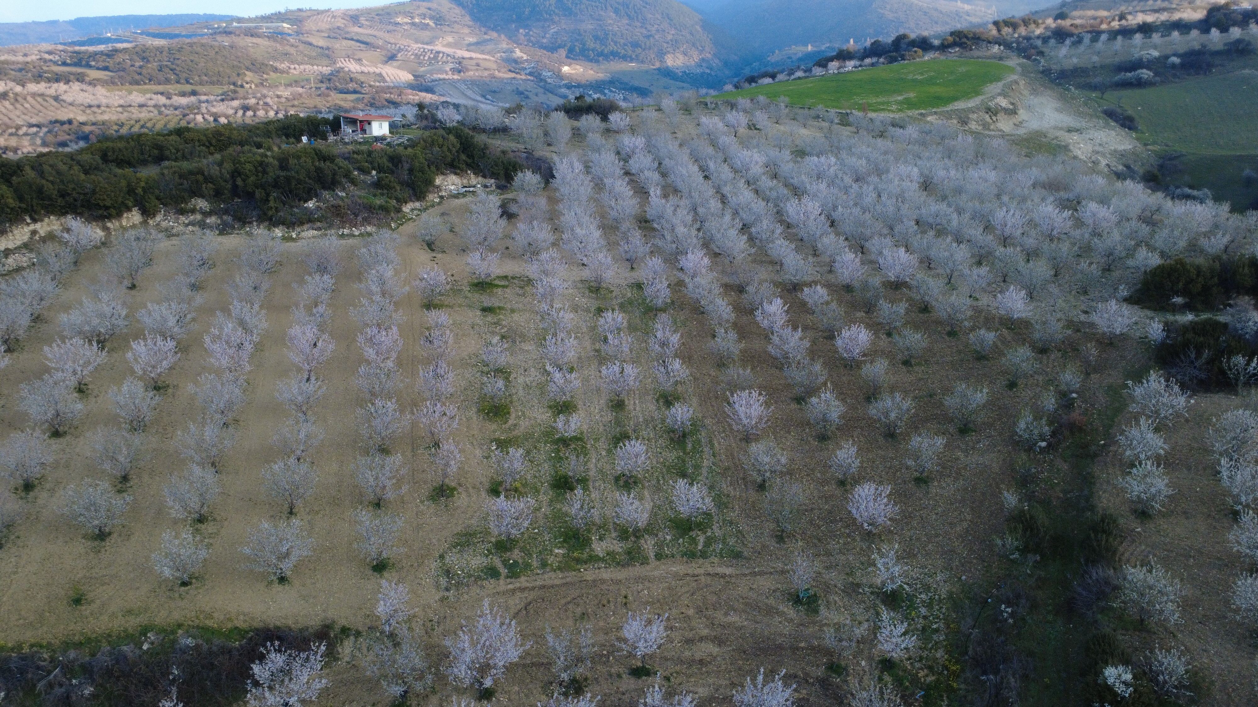 Demirci Görsel Şölen (4)