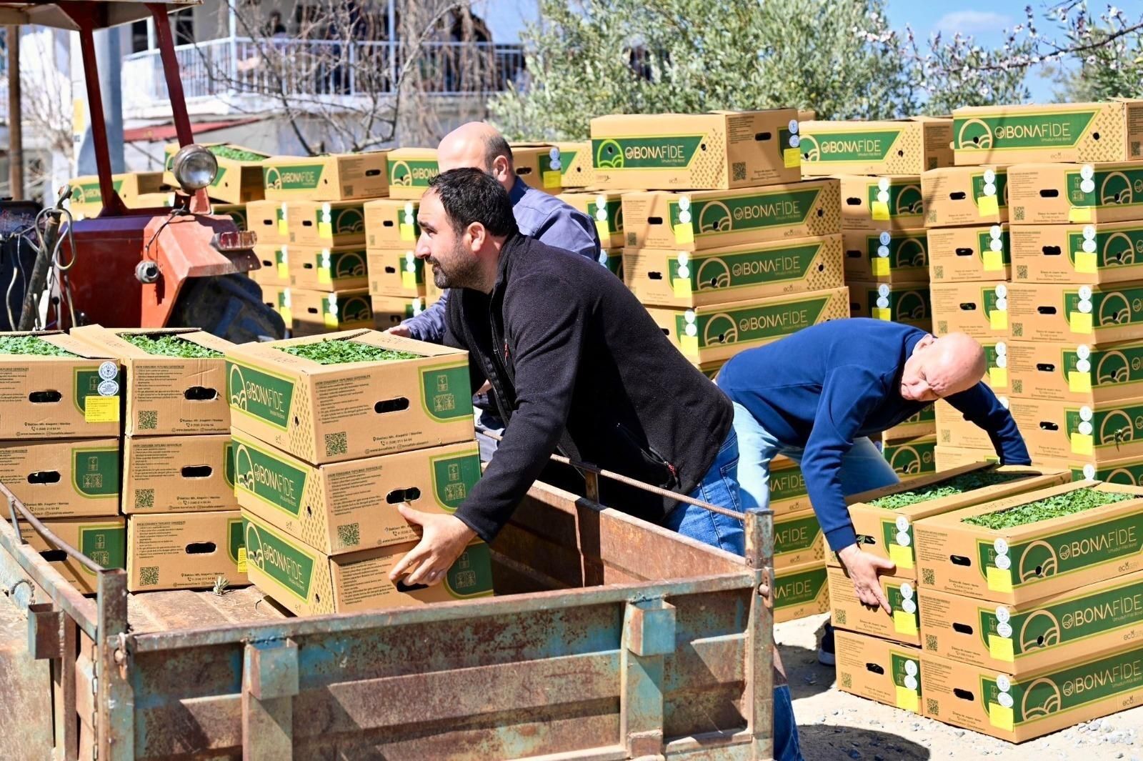 Manisa'da üreticiye can suyu: Yüzde 75 hibeli-.1.2