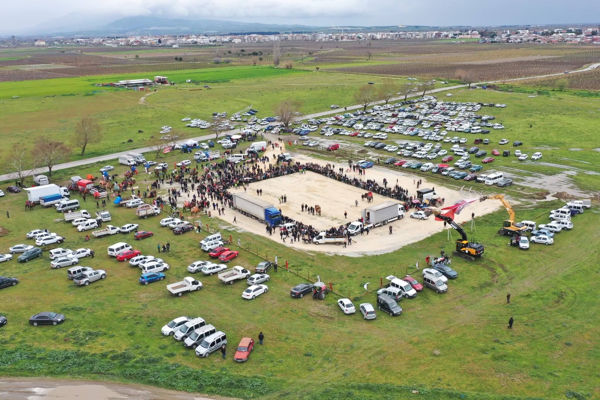 Manisa'da Deve Güreşi Heyecanı! (3)