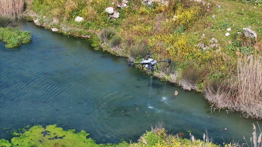 Manisa'da Vektörle Mücadelede Dronlu Takip! (3)