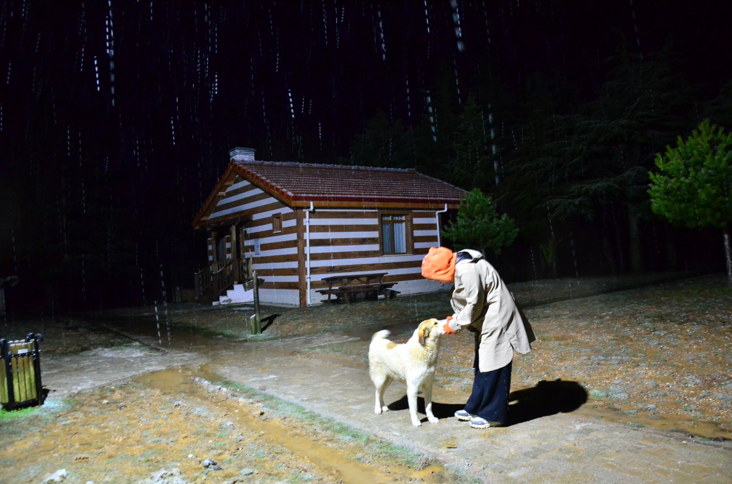 Mart Kapıdan Baktırır, Kazma Kürek Yaktırır (2)