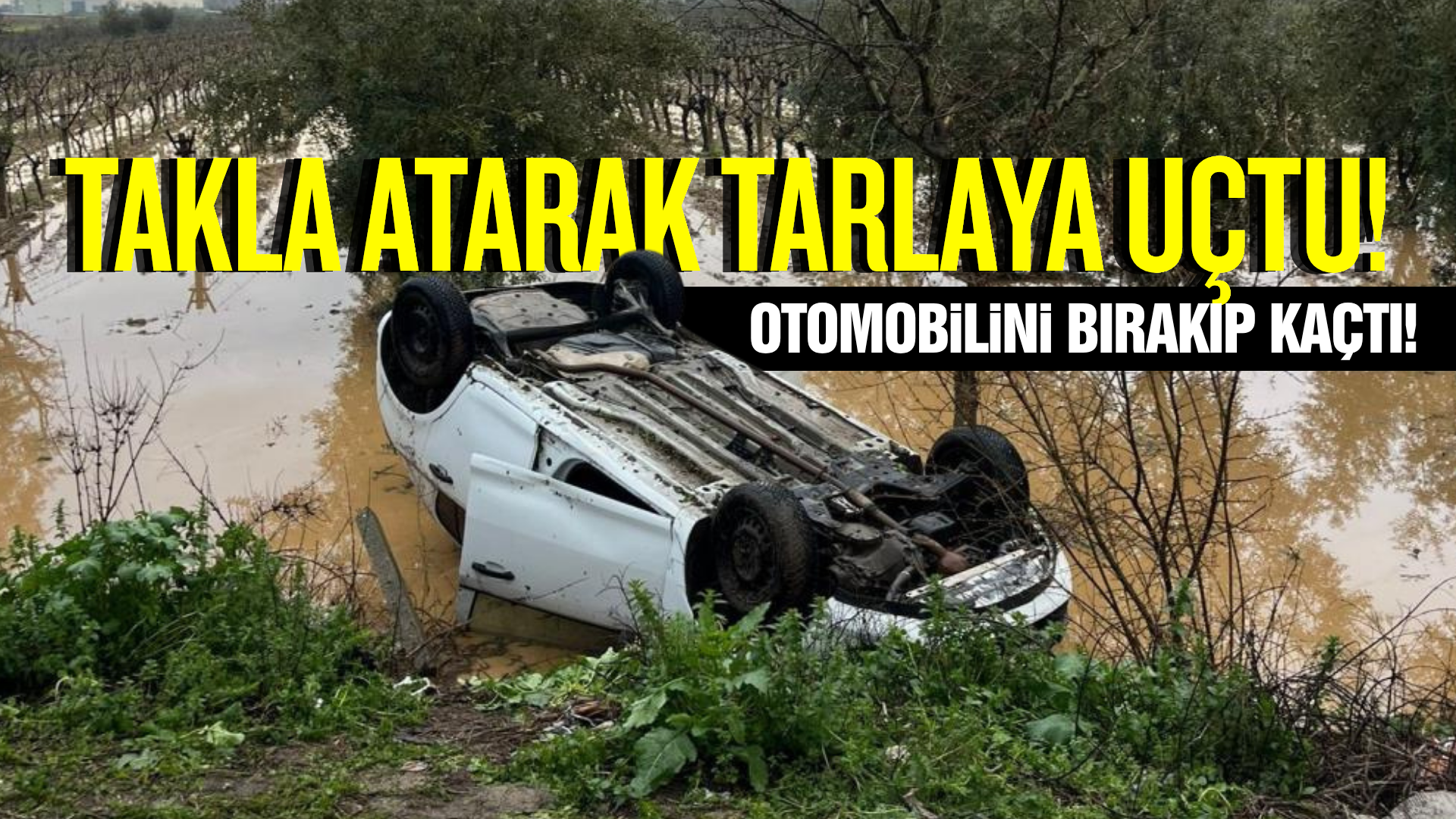 Salihli'de tarlaya uçan otomobilin sürücüsü kaçtı!