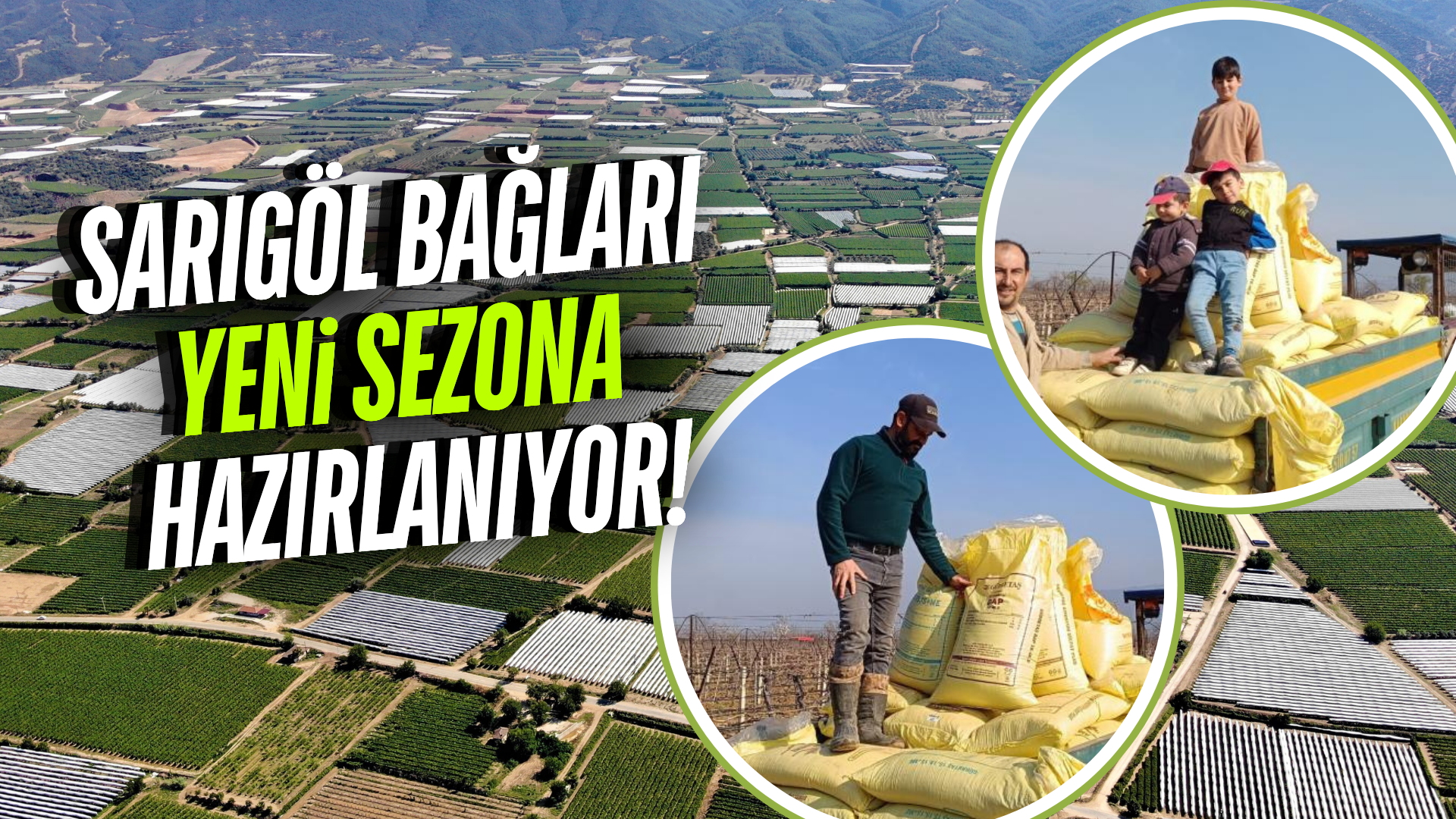 Sarıgöl bağlarında yeni sezon hazırlığı!