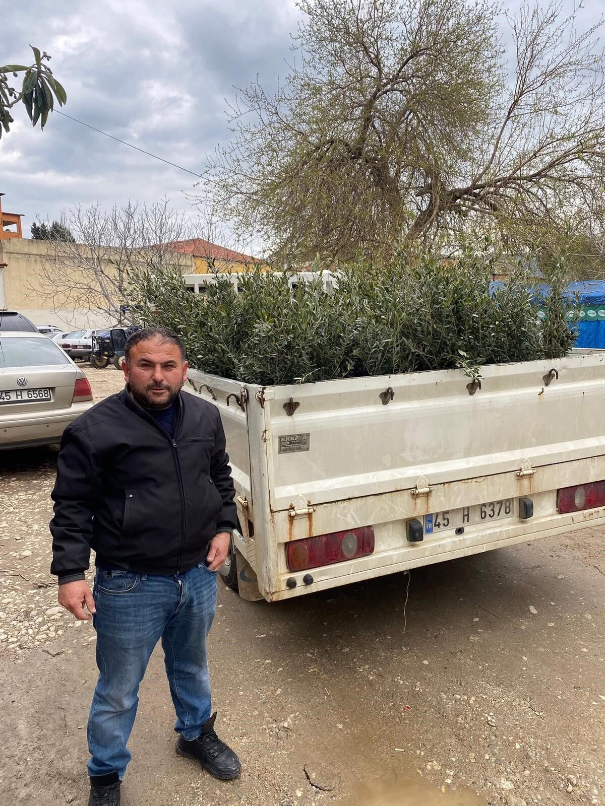 Sarıgöl'de Trilye Zeytinine Talep Artıyor! (1)