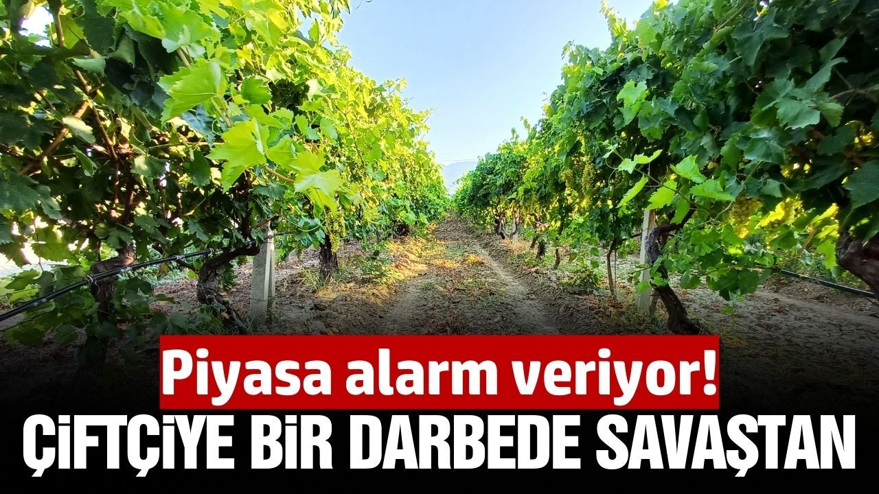 Savaş yine çiftçiyi vurdu: Gübre piyasası alarm veriyor
