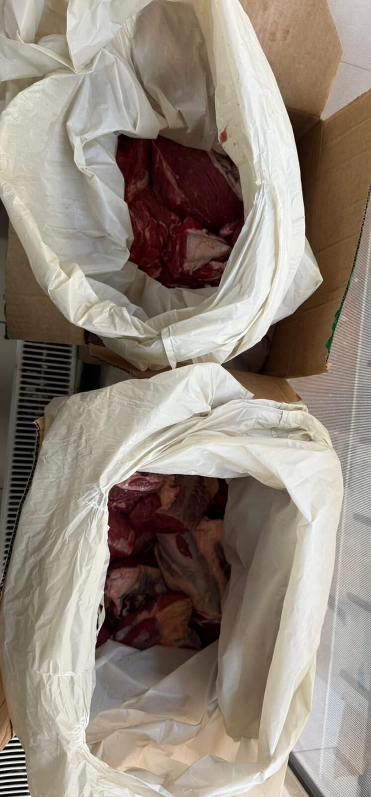 Whatsapp Image 2026 03 13 At 21.43.05