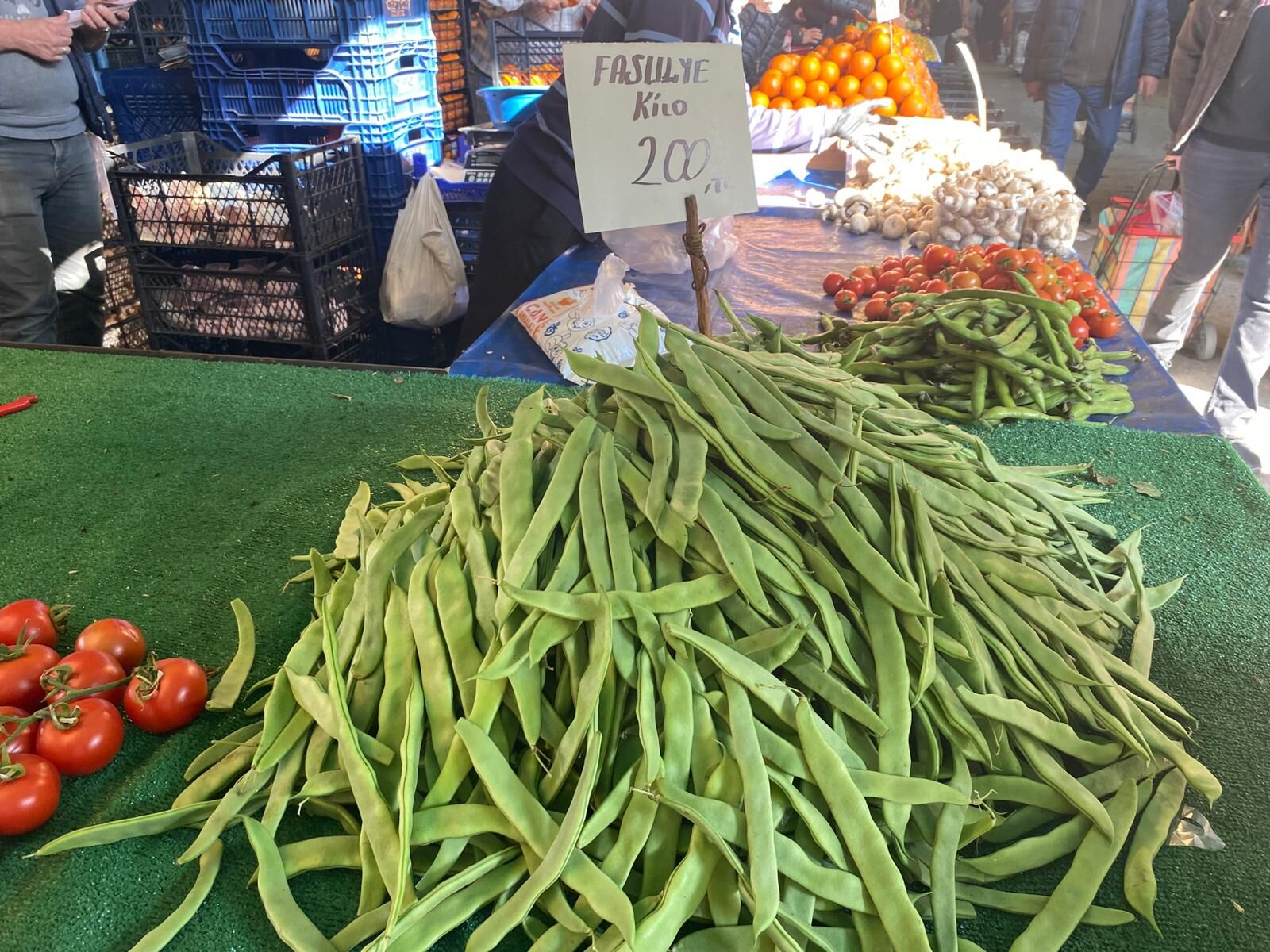 Manisa'da biberin kilosu 400 TL'ye dayandı-.1.1