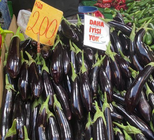 Whatsapp Image 2026 03 16 At 17.59.47