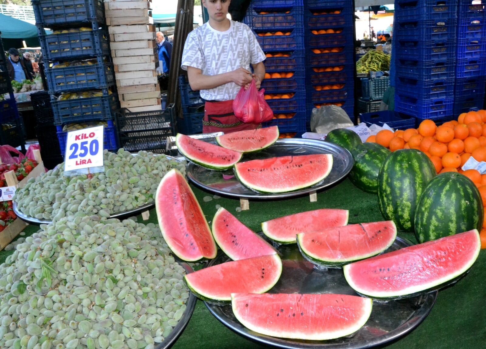 Whatsapp Image 2026 03 28 At 17.24.59