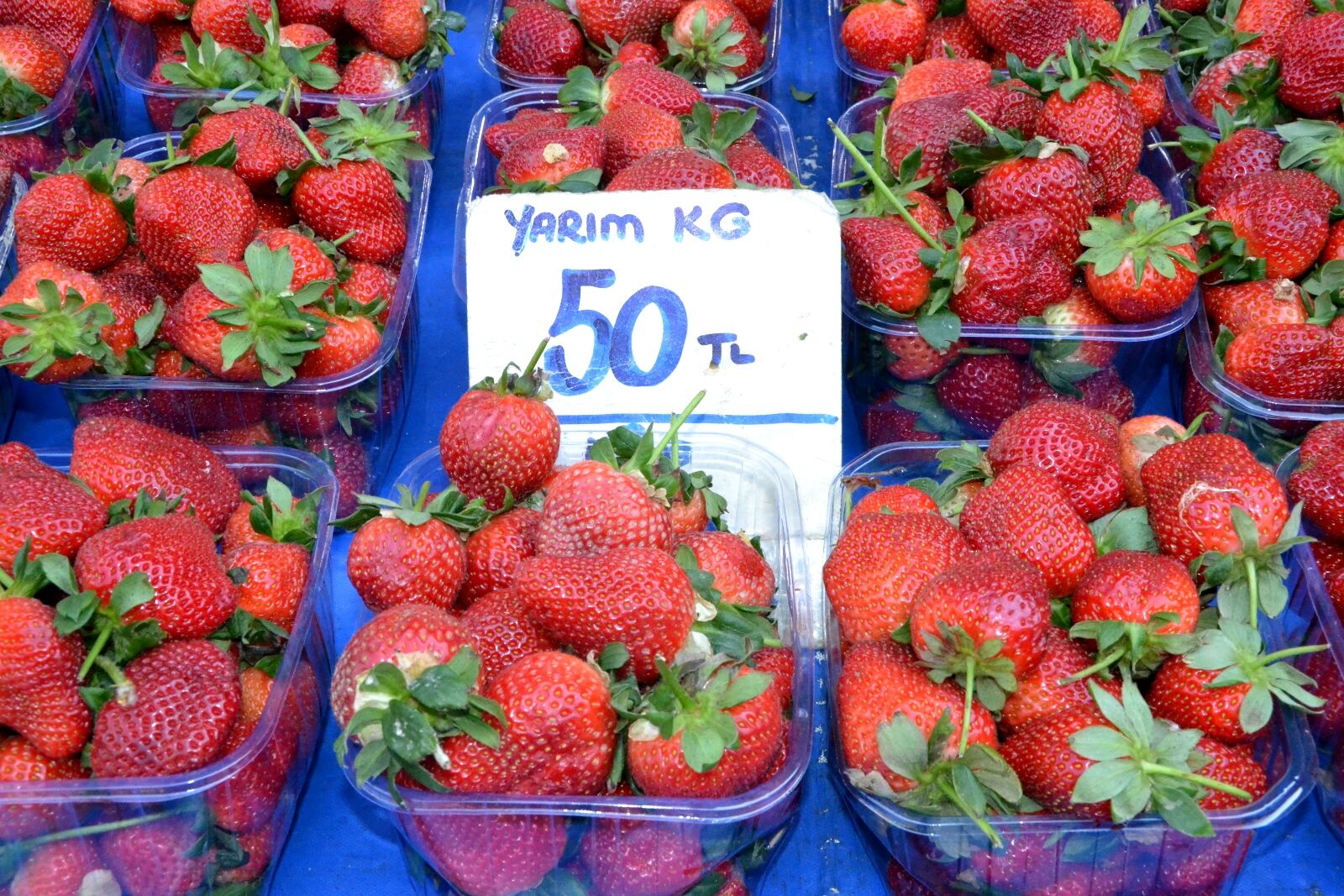 Whatsapp Image 2026 03 28 At 18.46.29