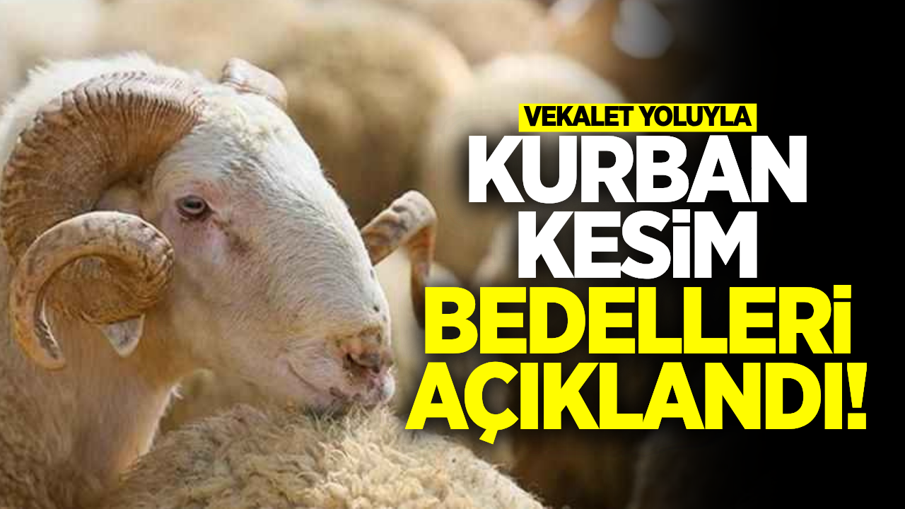 2026 Yılı Vekaletle Kurban Kesim Bedelleri Açıklandı