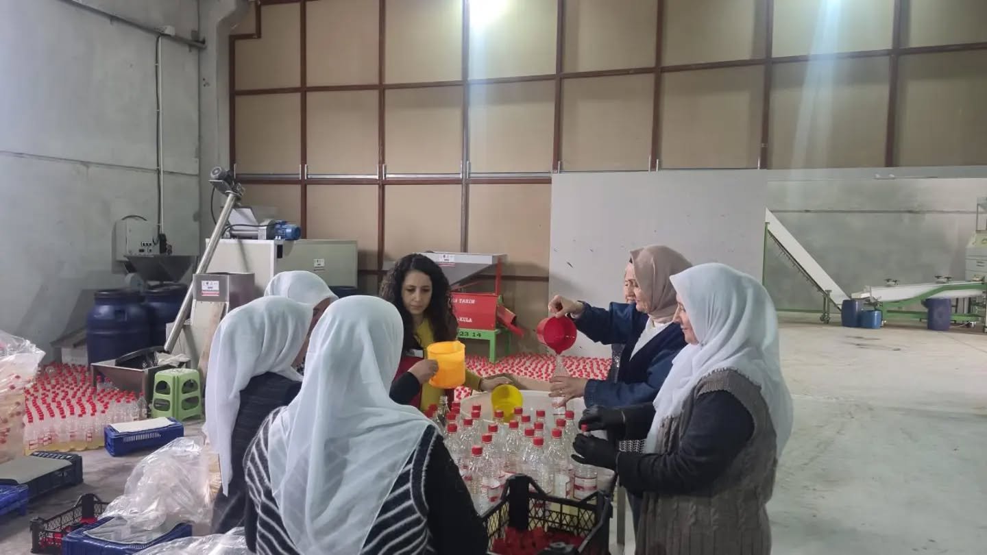 Manisa'da zararlıyla mücadelede 'Kadın Eli'-1