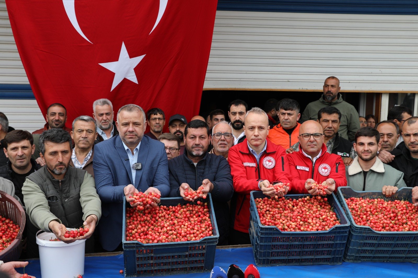 Kuzey Yarım Küre'de ilk hasat Manisa'da gerçekleşti-.2.1