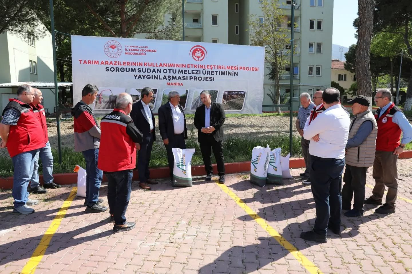 Manisa’da üreticilere şeker sorgumu tohumu desteği-2
