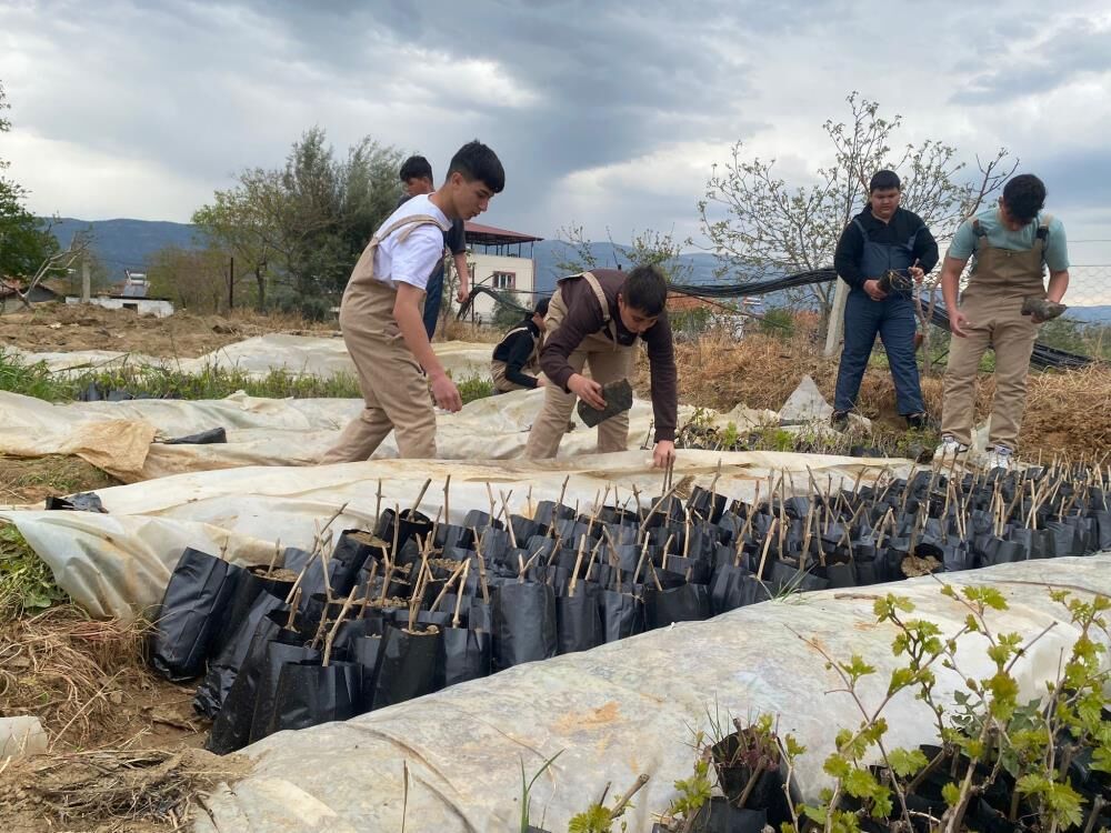 Sarıgöl'de Öğrencilerden Tarıma Önemli Katkı