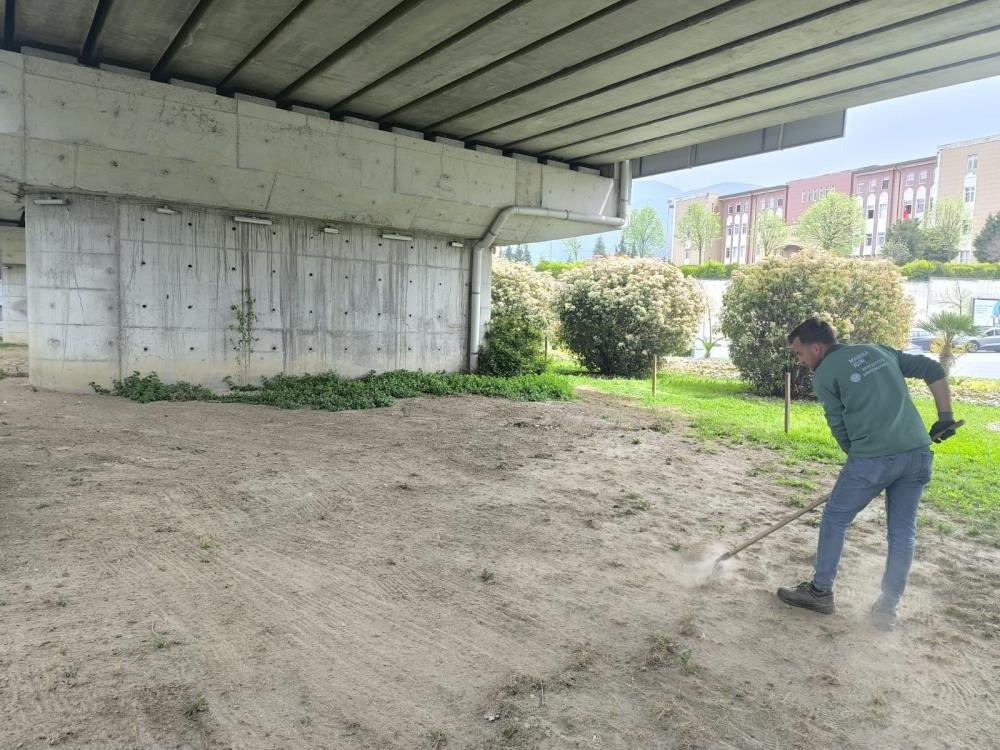 Manisa'da 5 asırlık gelenek için geri sayım!-1