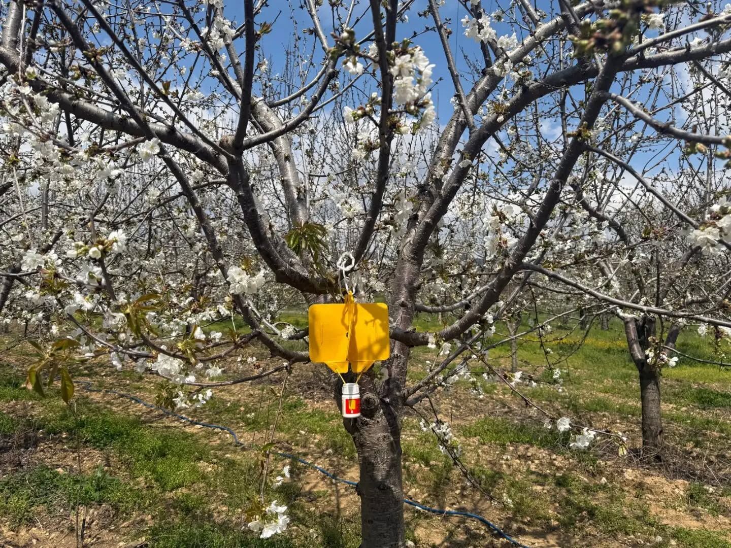 Alaşehir'de Erken Uyarı Sistemi Devrede (2)