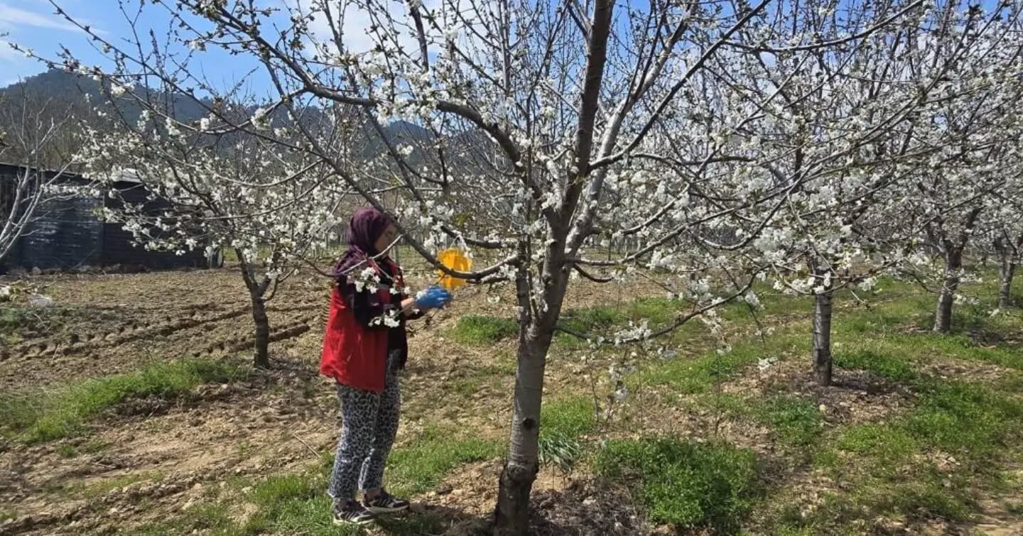 Alaşehir'de Erken Uyarı Sistemi Devrede (3)