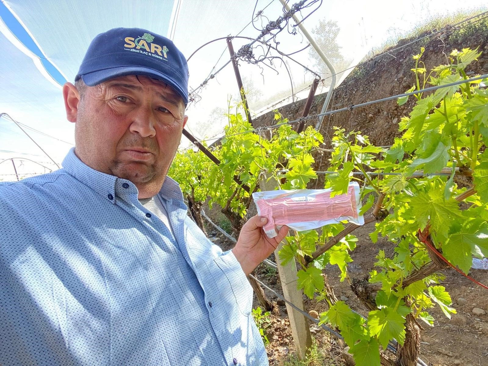Sarıgöl'de üzüm bağlarında 'Japon Tuzağı' mesaisi başladı-.1.1
