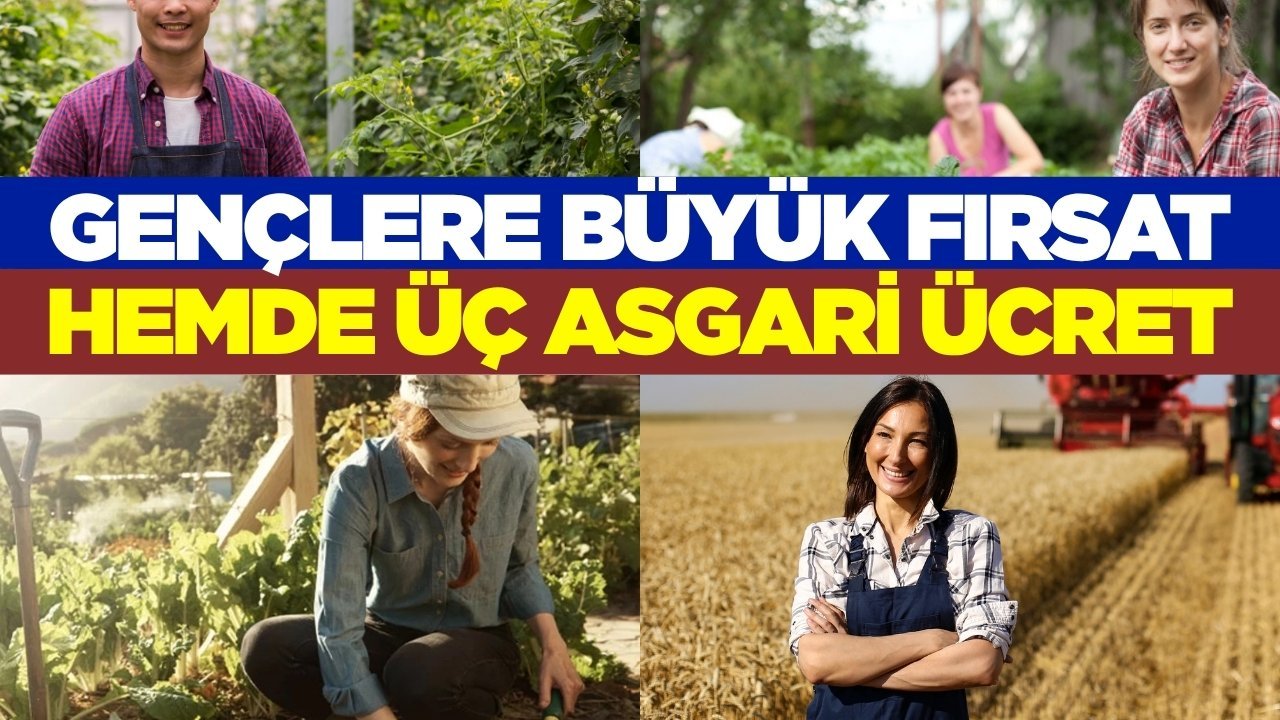 Gençlere maaşlı çiftçilik modeli: 40 bin kişi istihdam sağlayacak