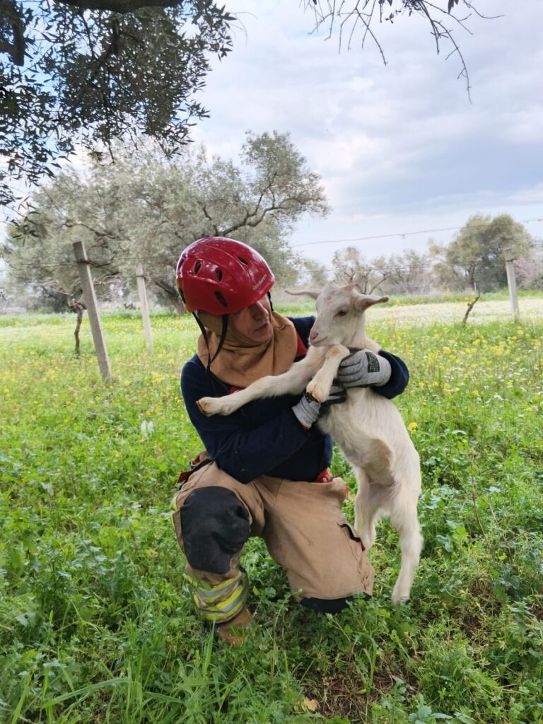 Habermedyafotograf 45710 34E5243Ded4347F1B8317Dfe849Df7Bd