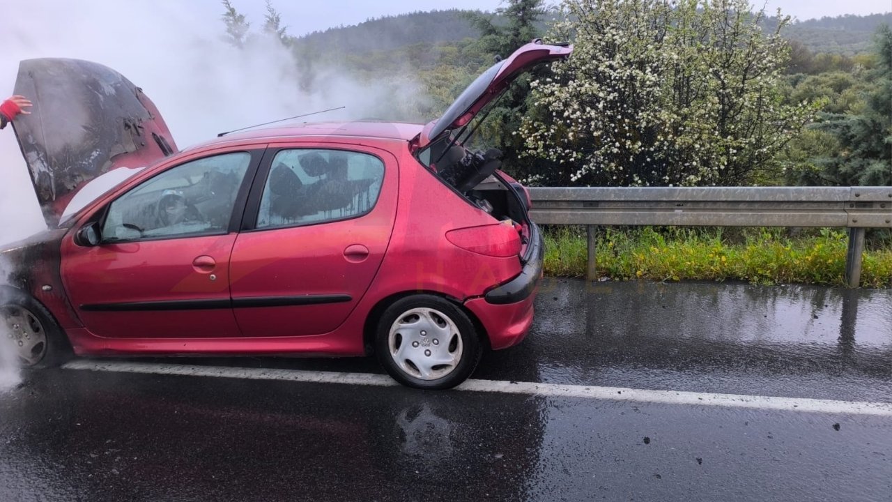 Kırkağaç Yangın (1)