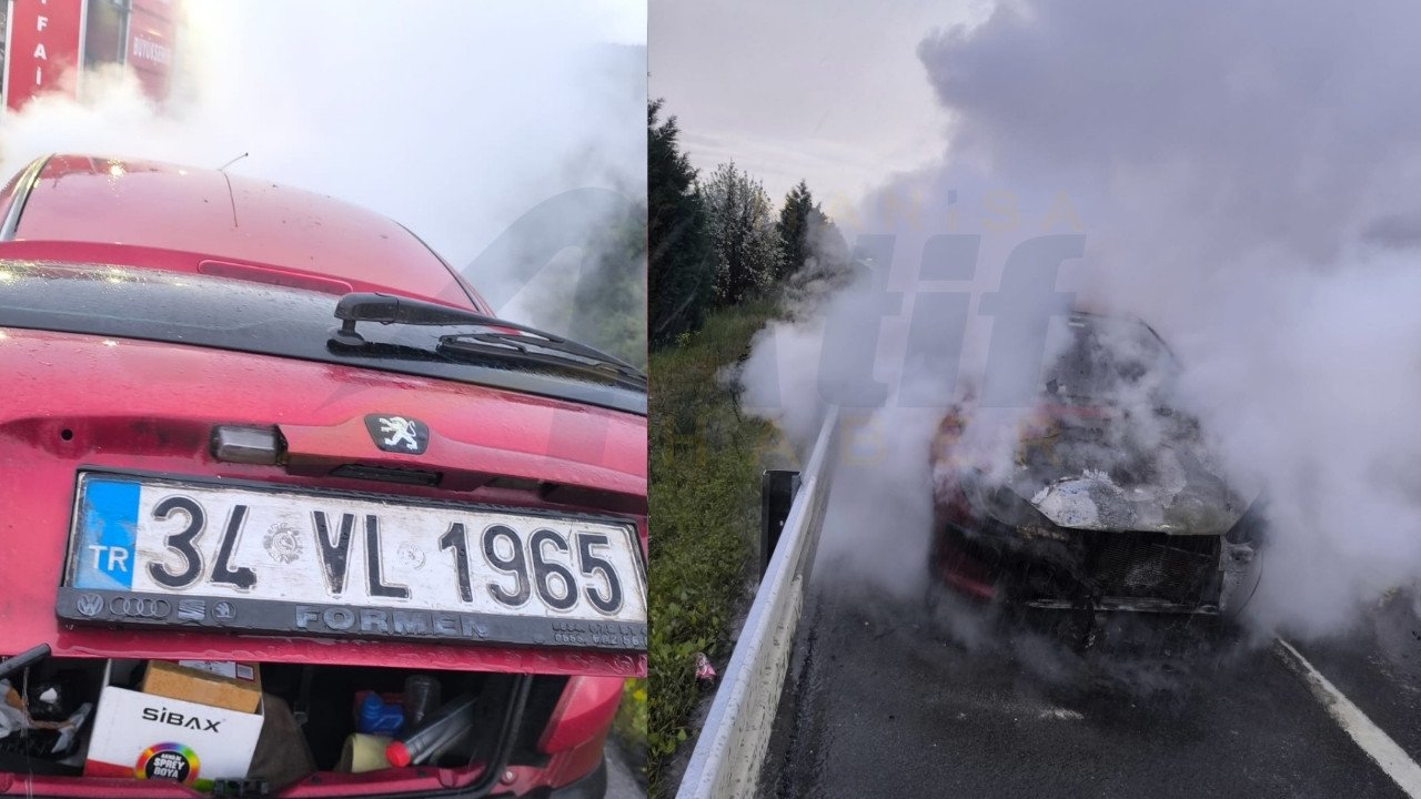 Kırkağaç Yangın (2)