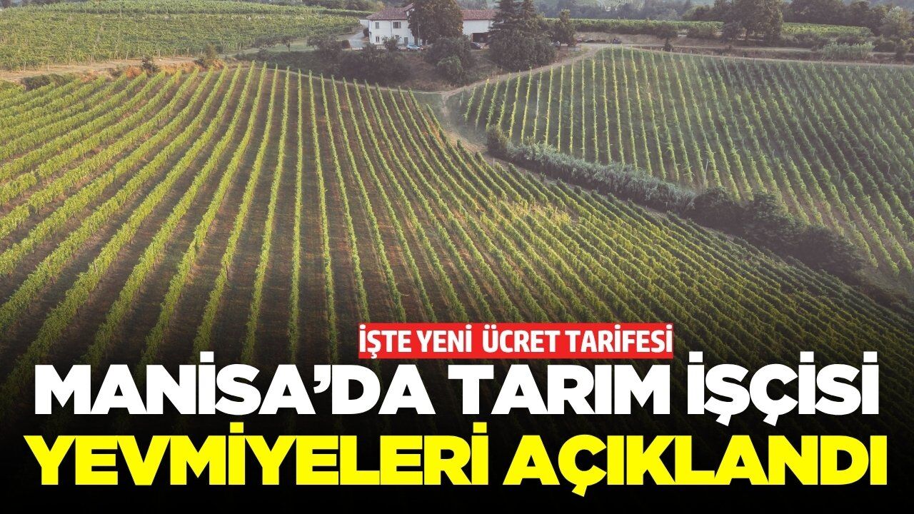 Manisa'da tarım işçisi ücretleri belli oldu!