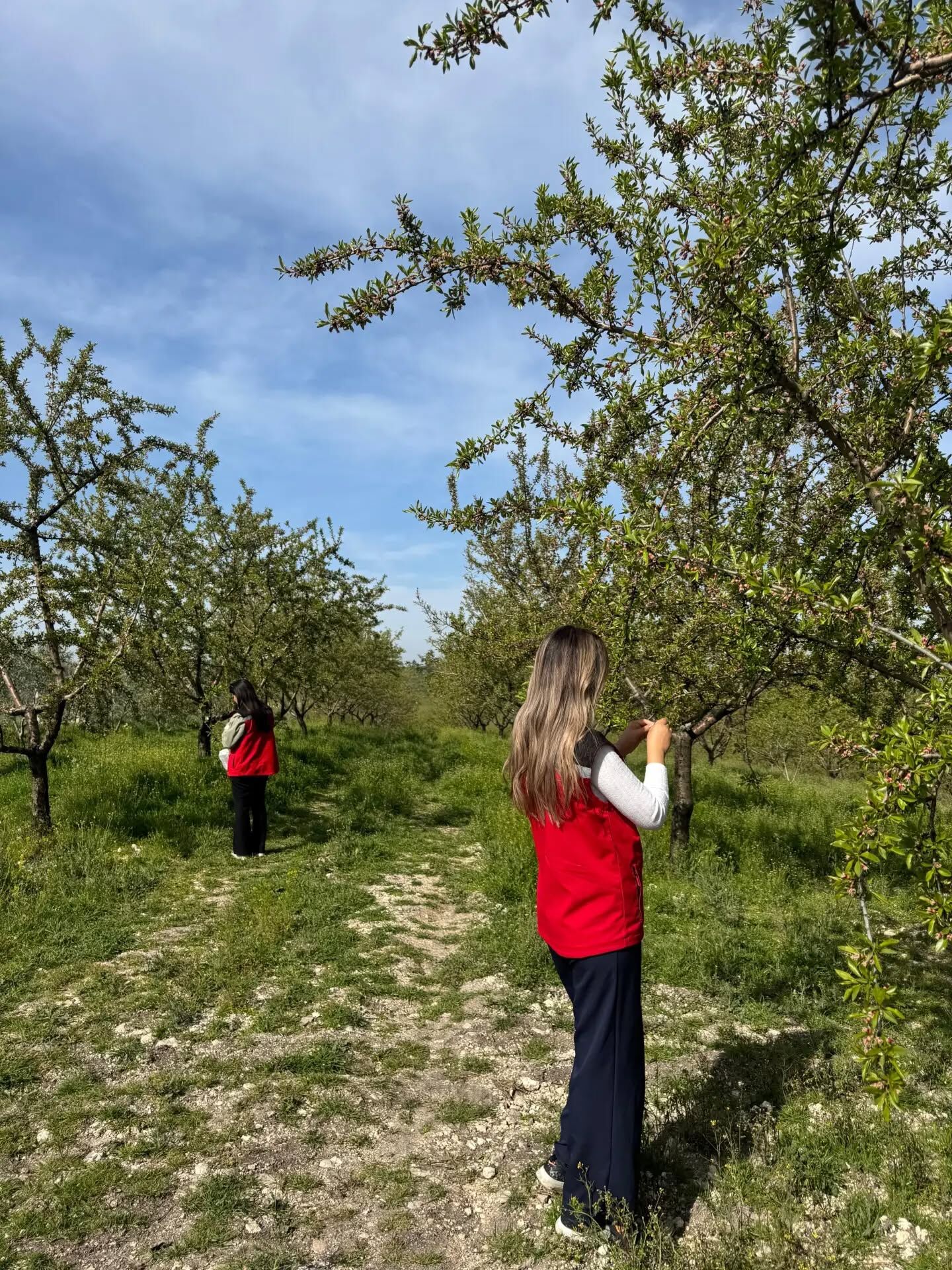 Manisa'da Hasar Tespit Çalışmaları Başladı (1)