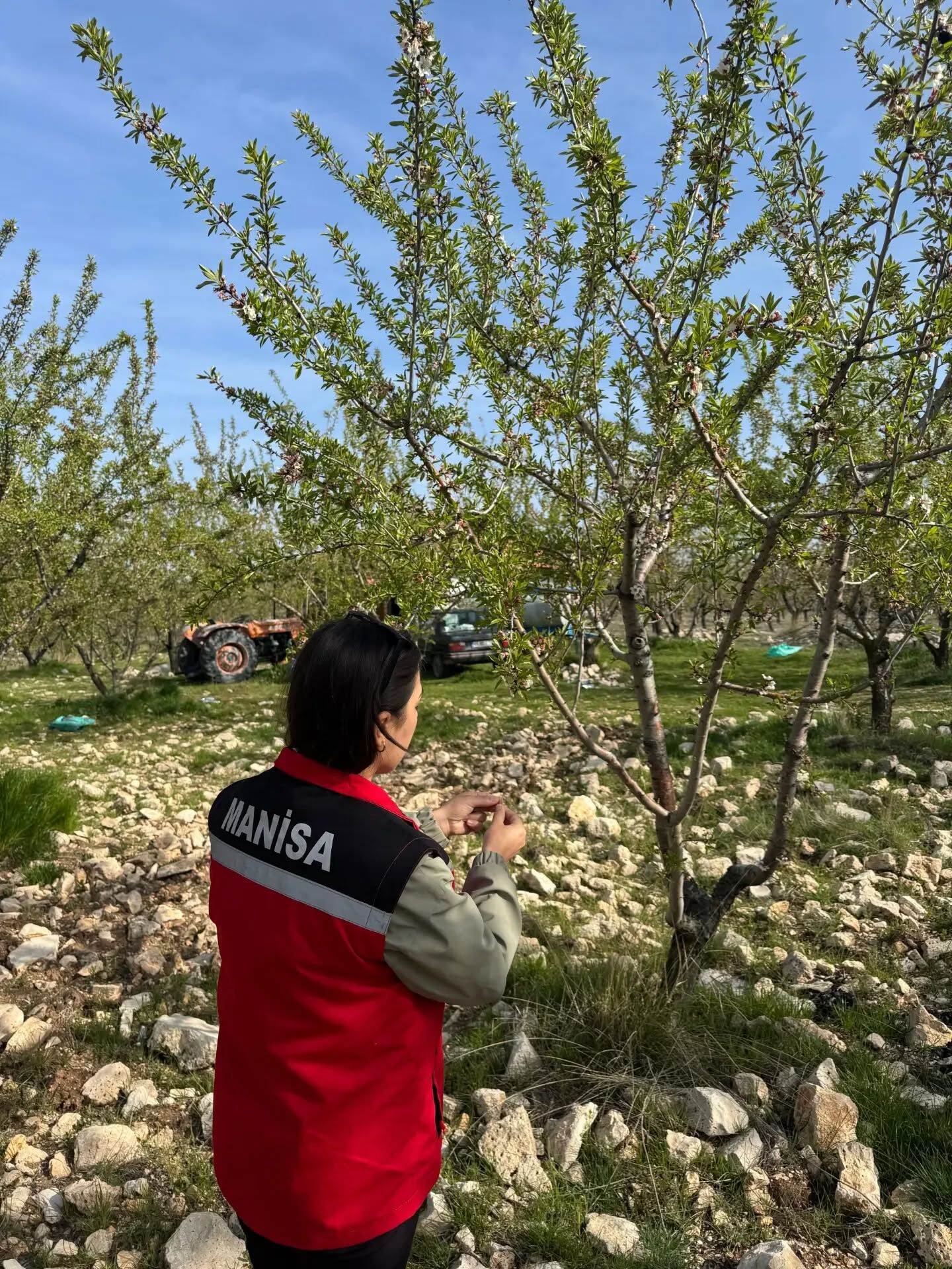 Manisa'da Hasar Tespit Çalışmaları Başladı (2)