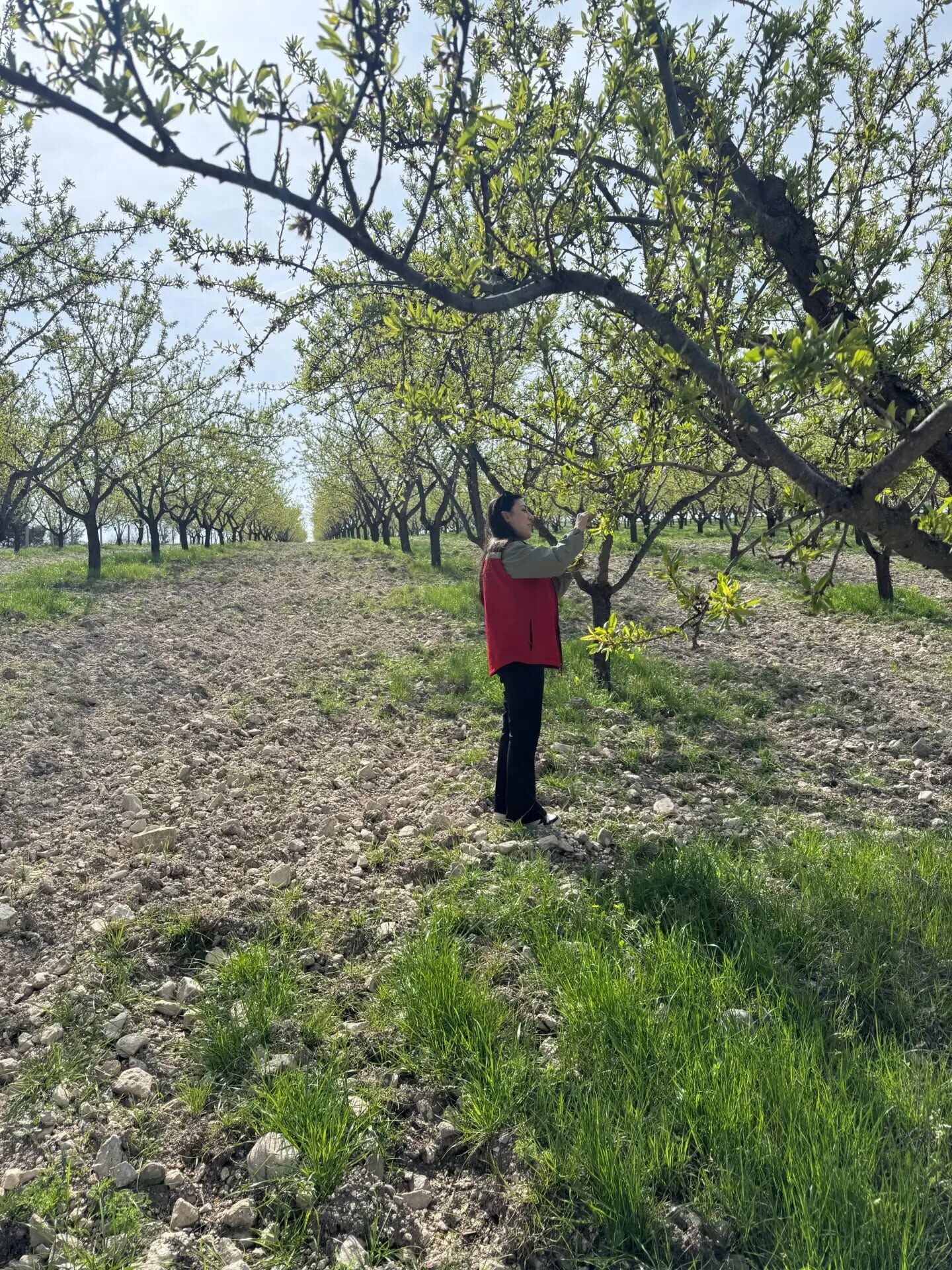 Manisa'da Hasar Tespit Çalışmaları Başladı (3)