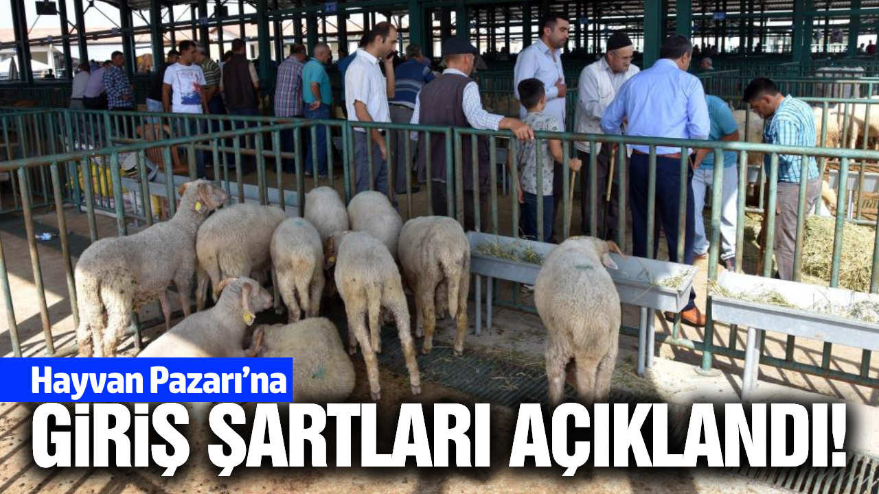 Manisa'da Hayvan Pazarı'nda yeni dönem!