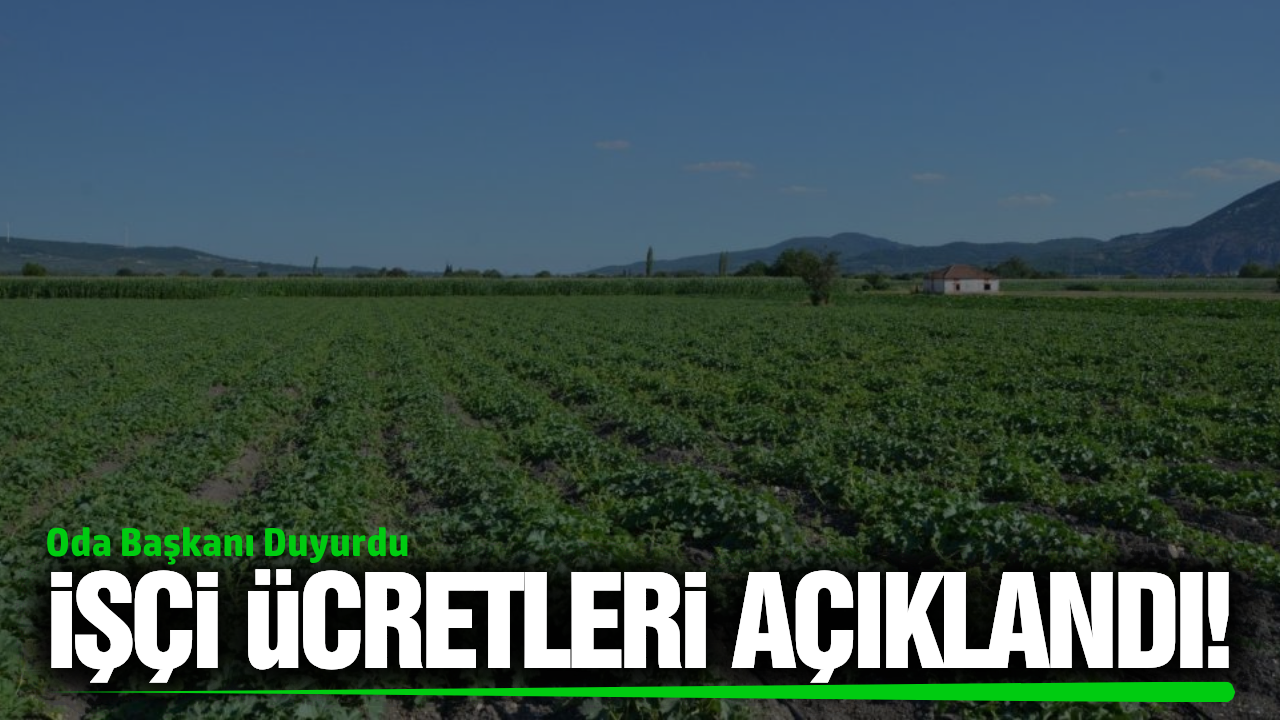 Manisa'da işçi ücretleri belli oldu!