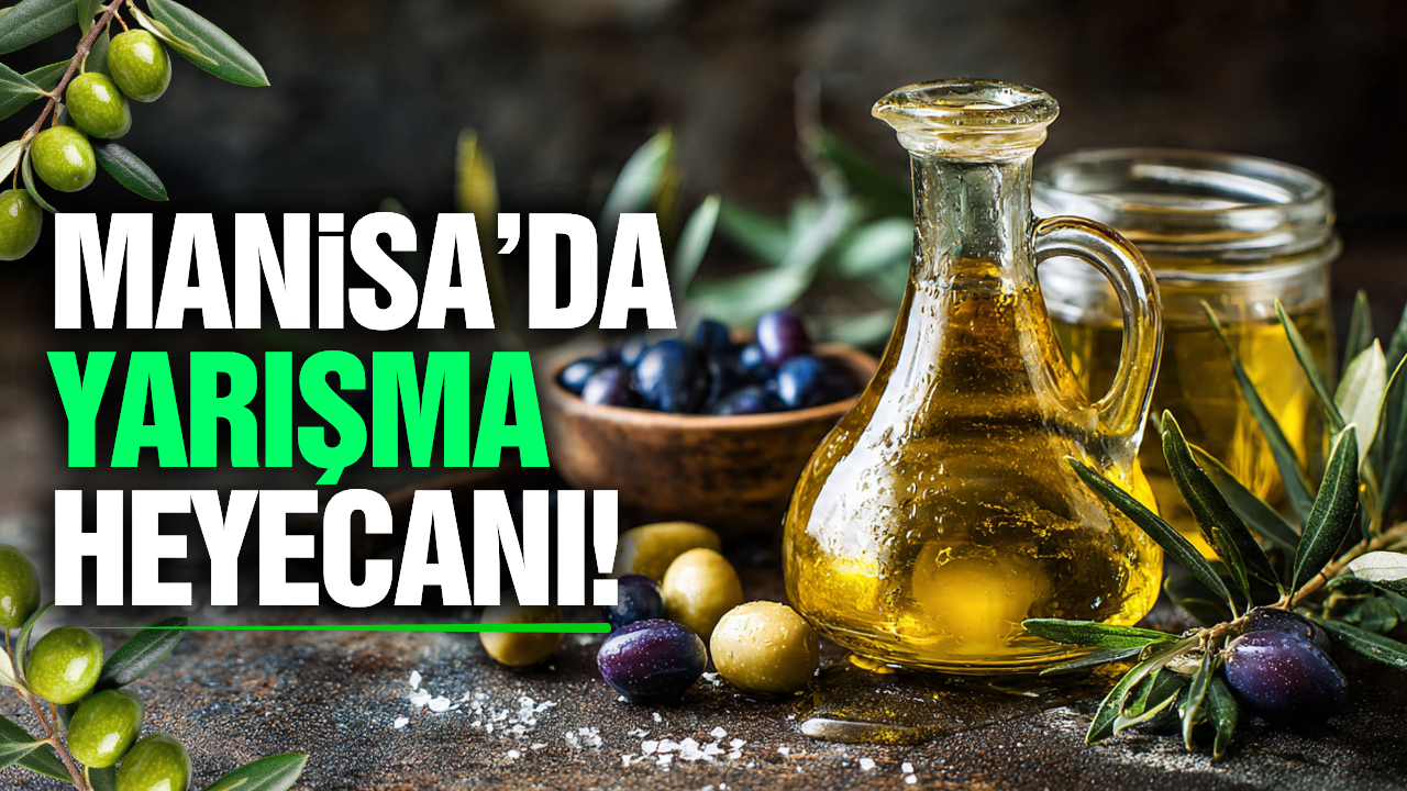 Manisa’da "Natürel Sızma Zeytinyağı Tadım Yarışması" için geri sayım!