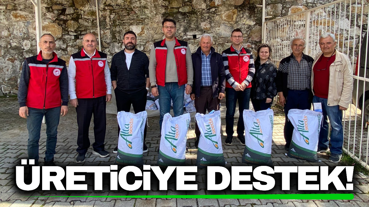 Manisa'da üreticiye şeker sorgumu desteği