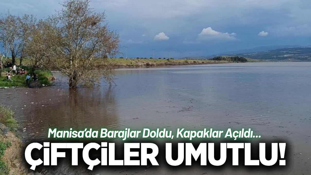 Manisa'da yağışlar üreticinin yüzünü güldürdü!