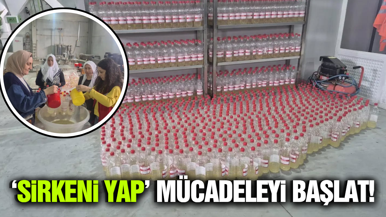 Manisa'da zararlıyla mücadelede 'Kadın Eli'