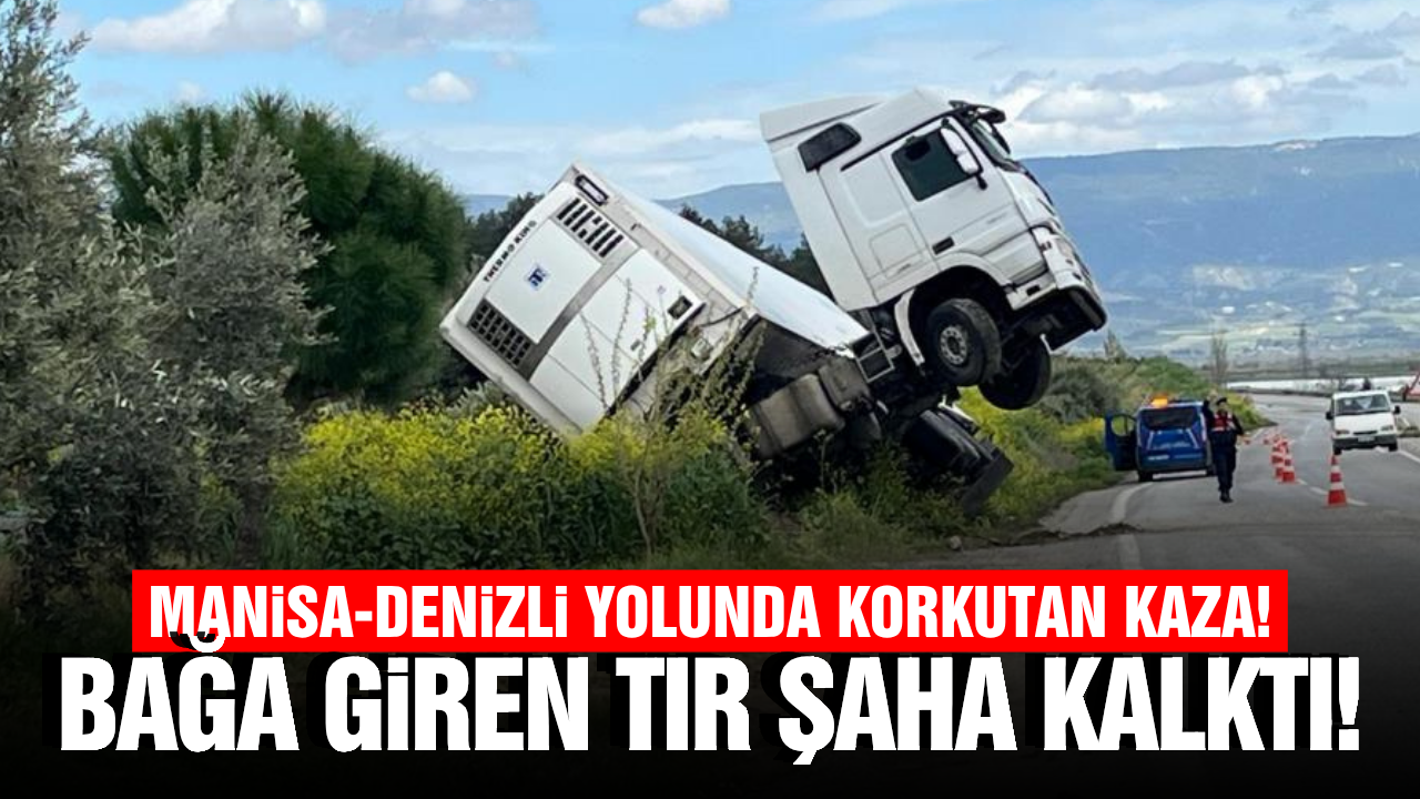 Manisa-Denizli yolunda kontrolden çıkan tır bağa girdi!
