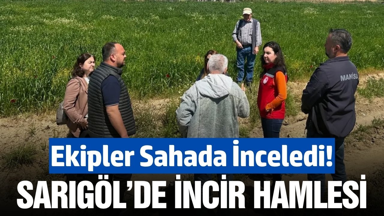 Sarıgöl'de ekipler alternatif ürün arayışı için sahada