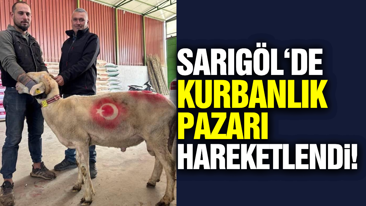 Sarıgöl'de kurbanlık telaşı başladı!